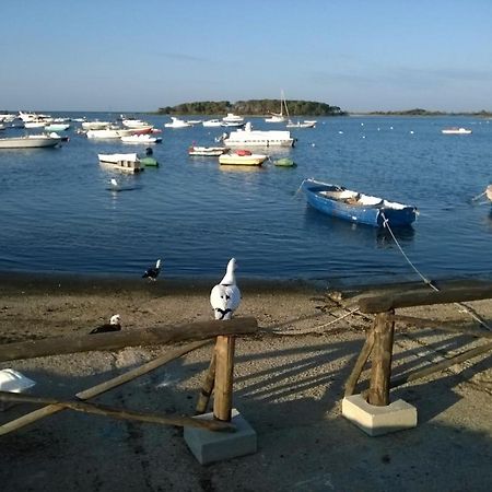 B&B Lady Lucia Porto Cesareo Eksteriør billede