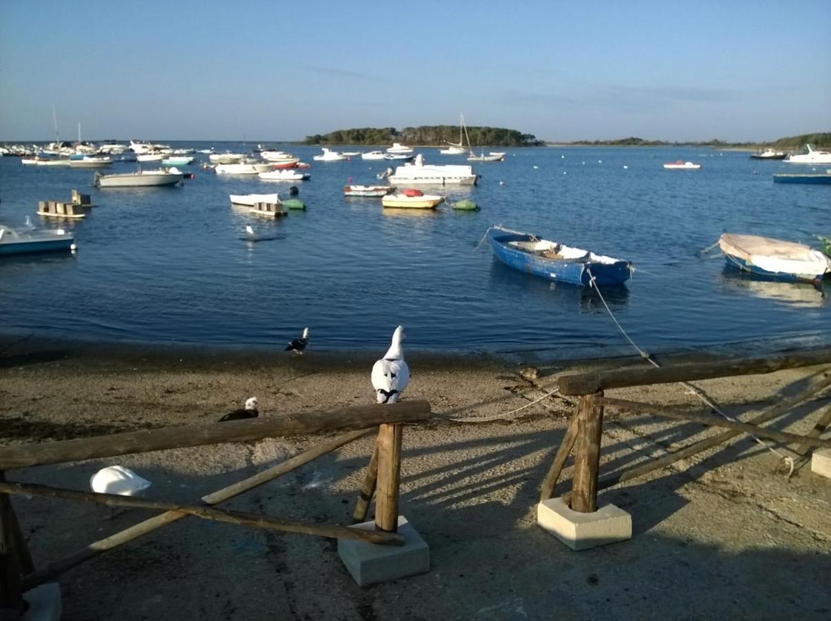B&B Lady Lucia Porto Cesareo Eksteriør billede
